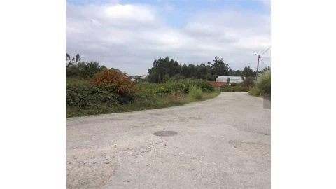 Terreno para Venda em Pinheiro da Bemposta, Travanca e Palmaz