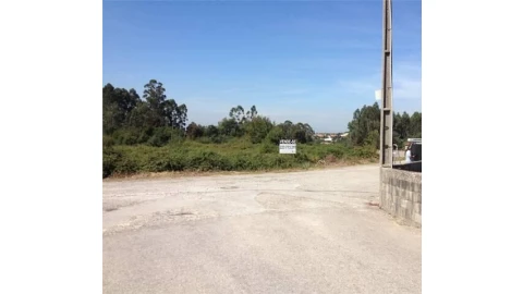 Terreno para Venda em Pinheiro da Bemposta, Travanca e Palmaz