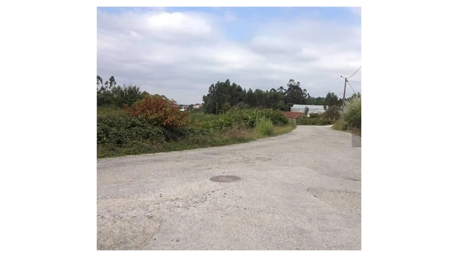 Terreno para Venda em Pinheiro da Bemposta, Travanca e Palmaz Foto 3
