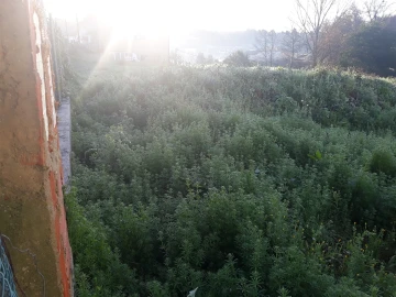 Terreno para Venda em O. Azeméis, Riba-Ul, Ul, Macinhata Seixa, Madail