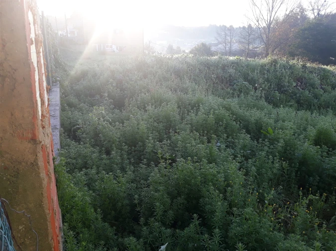Terreno para Venda em O. Azeméis, Riba-Ul, Ul, Macinhata Seixa, Madail Foto 4