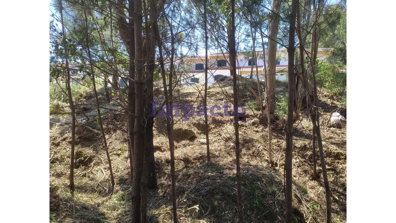 Terreno para Venda em Cesar Foto 7