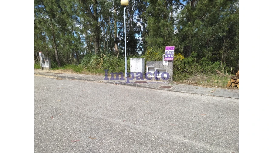 Terreno para Venda em Cesar Foto 3