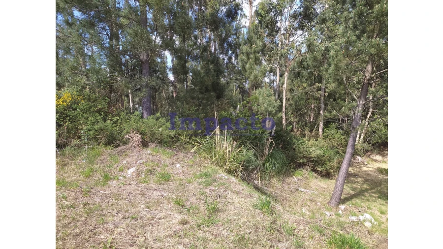 Terreno para Venda em Cesar Foto 4