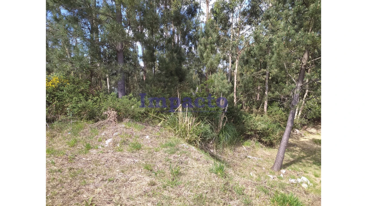 Terreno para Venda em Cesar Foto 4