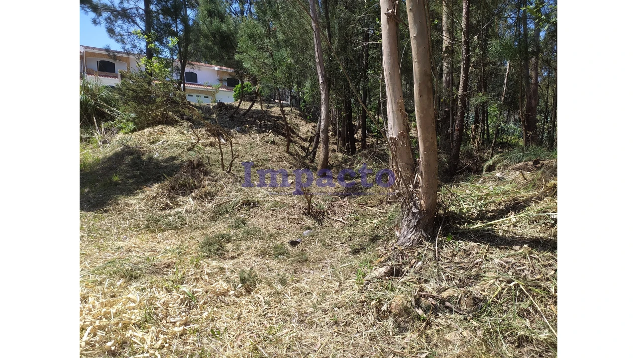 Terreno para Venda em Cesar Foto 12