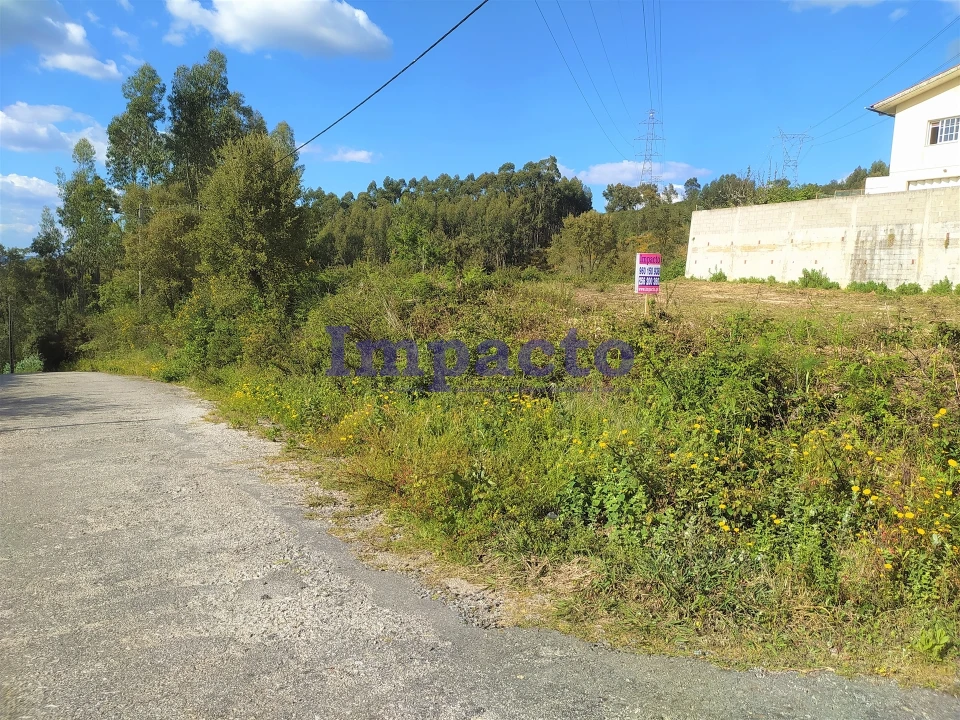 Terreno para Venda em O. Azeméis, Riba-Ul, Ul, Macinhata Seixa, Madail Foto 1