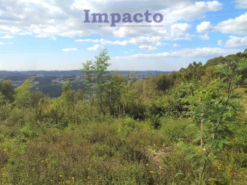 Terreno para Venda em O. Azeméis, Riba-Ul, Ul, Macinhata Seixa, Madail