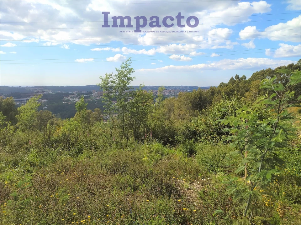 Terreno para Venda em O. Azeméis, Riba-Ul, Ul, Macinhata Seixa, Madail Foto 2