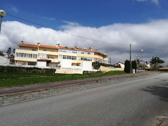 Terreno para Venda em Pinheiro da Bemposta, Travanca e Palmaz Foto 4