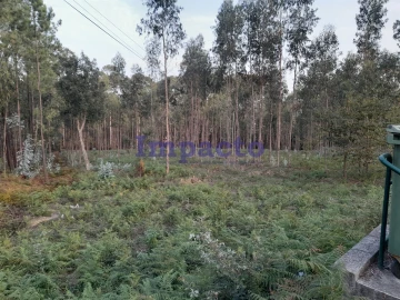 Terreno para Venda em O. Azeméis, Riba-Ul, Ul, Macinhata Seixa, Madail