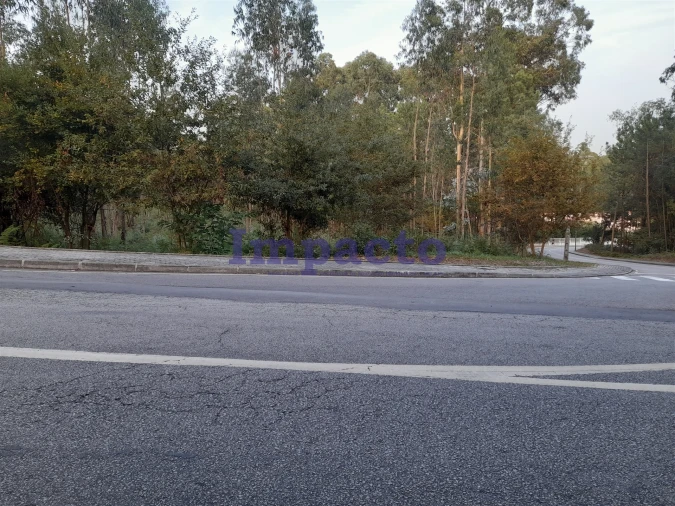 Terreno para Venda em O. Azeméis, Riba-Ul, Ul, Macinhata Seixa, Madail Foto 8