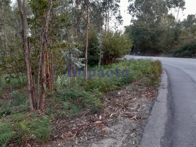 Terreno para Venda em O. Azeméis, Riba-Ul, Ul, Macinhata Seixa, Madail Foto 2