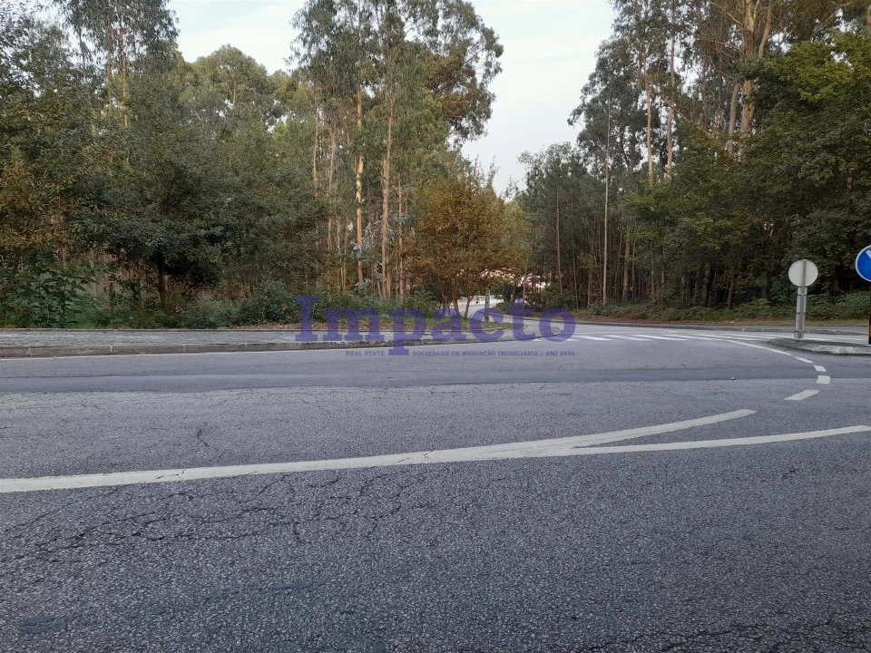Terreno para Venda em O. Azeméis, Riba-Ul, Ul, Macinhata Seixa, Madail Foto 1