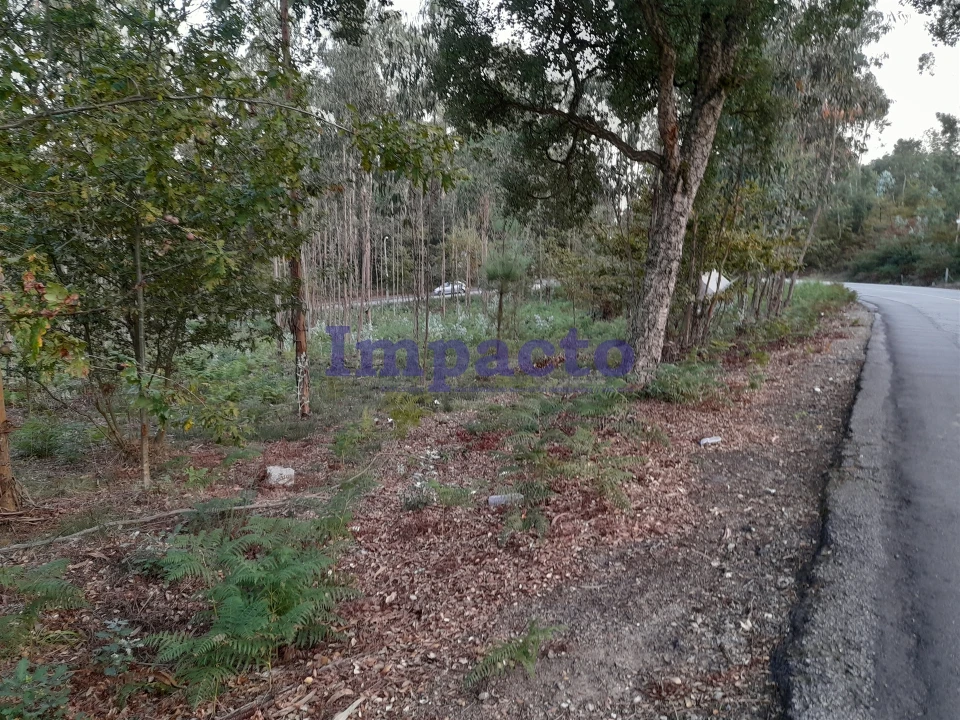 Terreno para Venda em O. Azeméis, Riba-Ul, Ul, Macinhata Seixa, Madail Foto 6