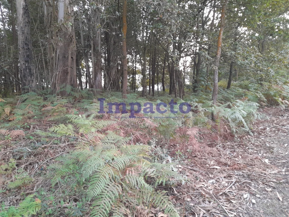 Terreno para Venda em O. Azeméis, Riba-Ul, Ul, Macinhata Seixa, Madail Foto 3