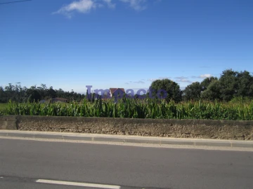 Terreno para Venda em Vila de Cucujães