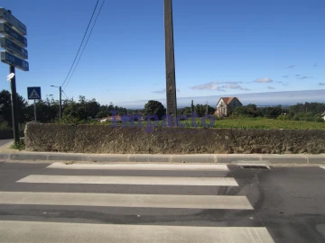 Terreno para Venda em Vila de Cucujães