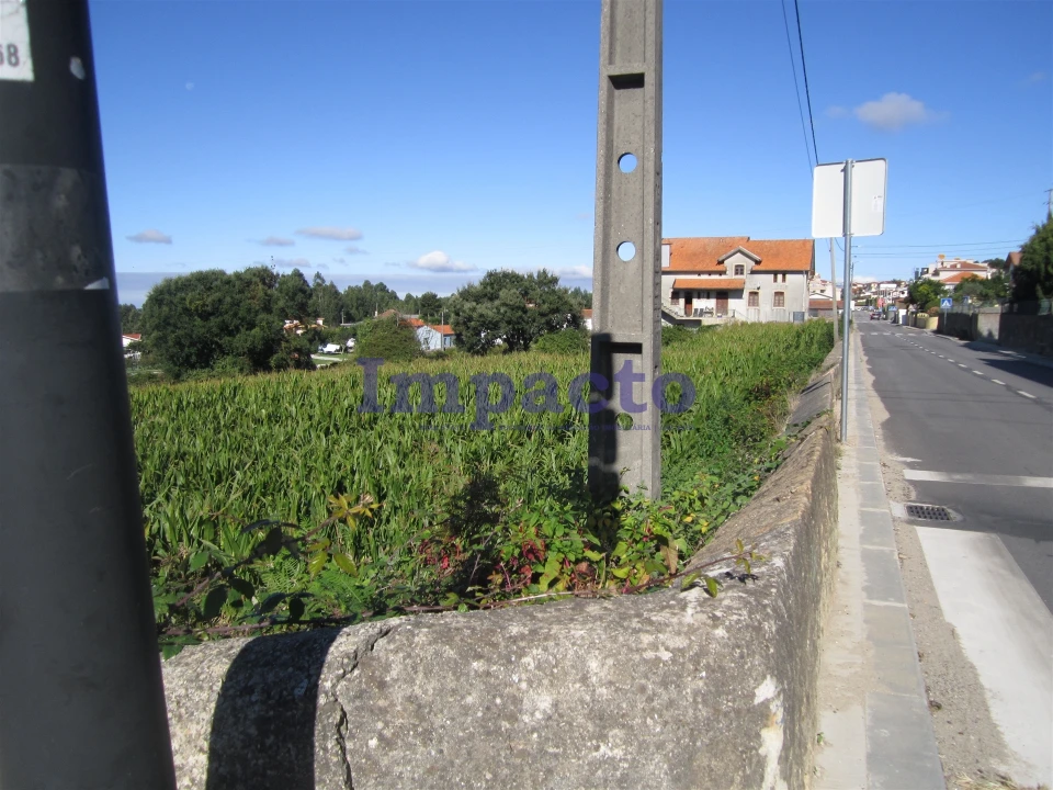Terreno para Venda em Vila de Cucujães Foto 3