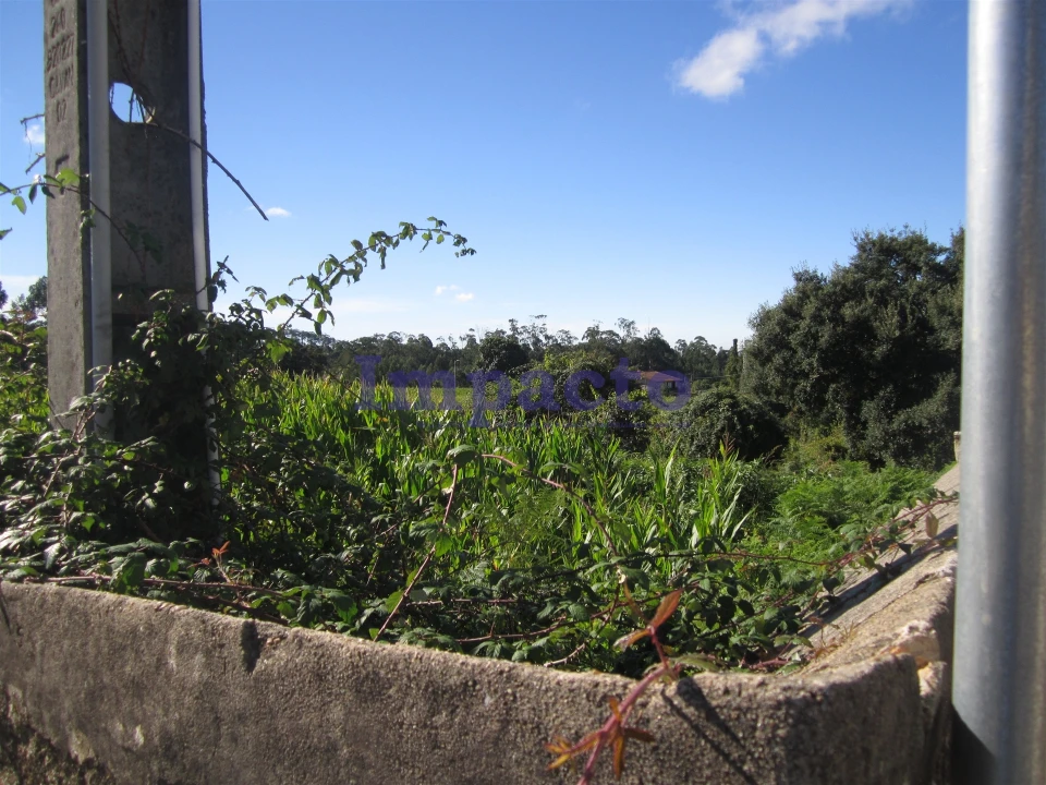 Terreno para Venda em Vila de Cucujães Foto 20