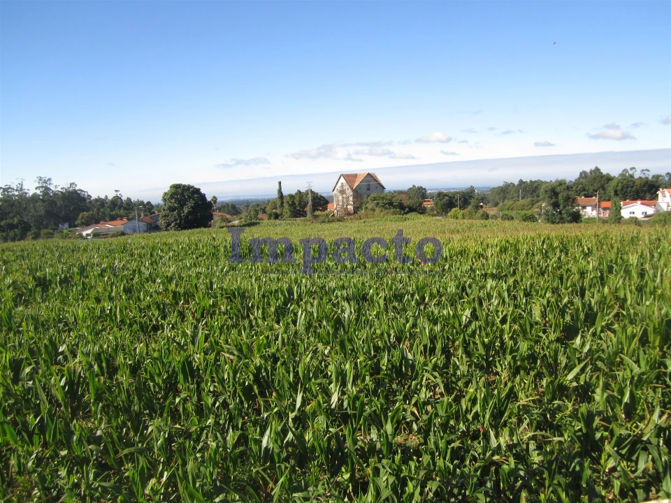 Terreno para Venda em Vila de Cucujães Foto 15