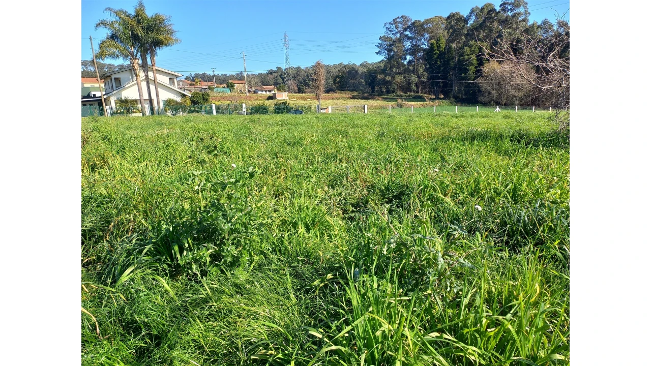 Terreno Agricola ou Rústico para Venda em São Martinho da Gandara Foto 5