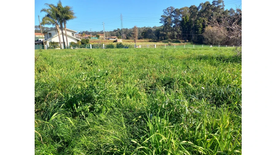 Terreno Agricola ou Rústico para Venda em São Martinho da Gandara Foto 5