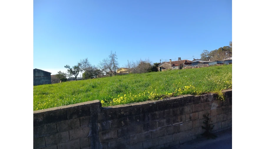 Terreno Agricola ou Rústico para Venda em São Martinho da Gandara Foto 3