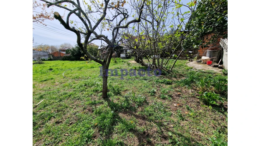 Terreno para Venda em Fornos Foto 1