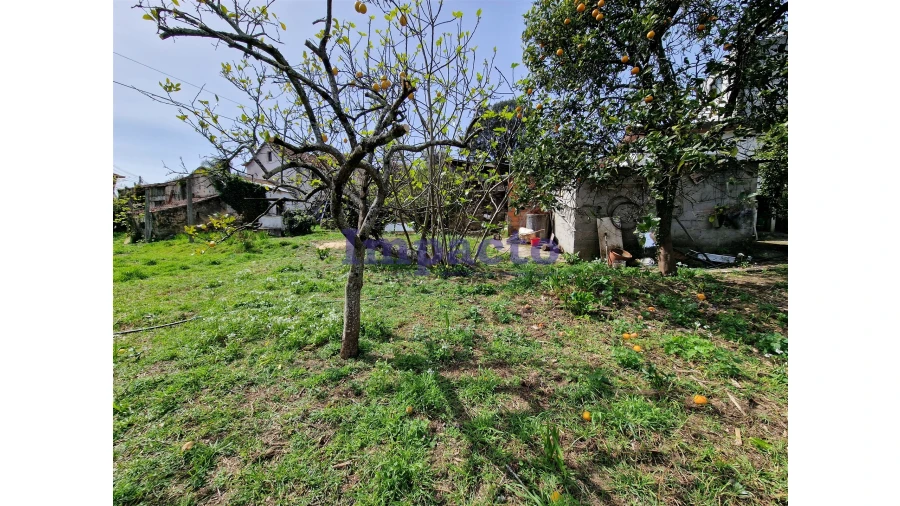 Terreno para Venda em Fornos Foto 4