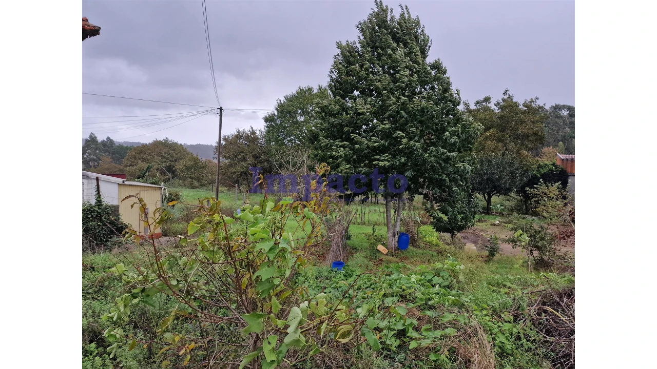 Terreno para Venda em Fiães Foto 3