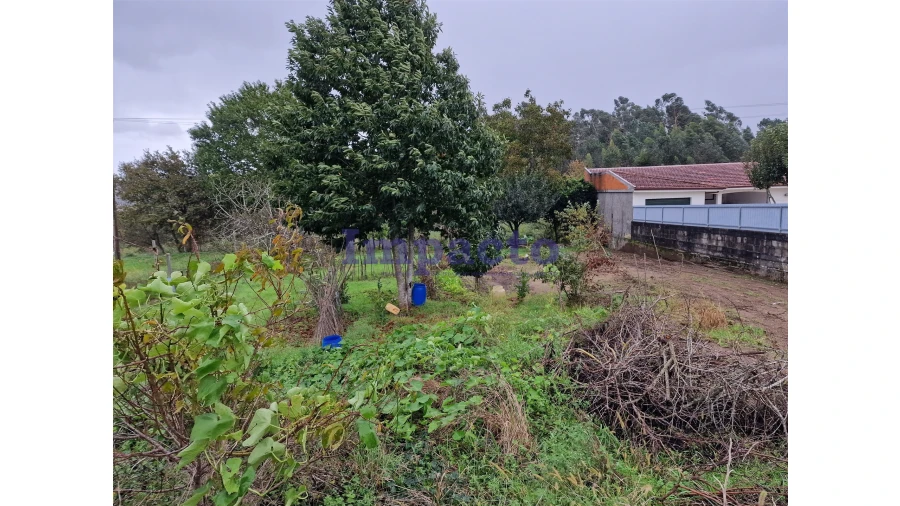 Terreno para Venda em Fiães Foto 4
