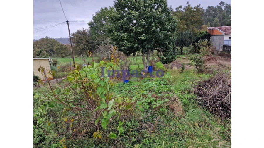 Terreno para Venda em Fiães Foto 5