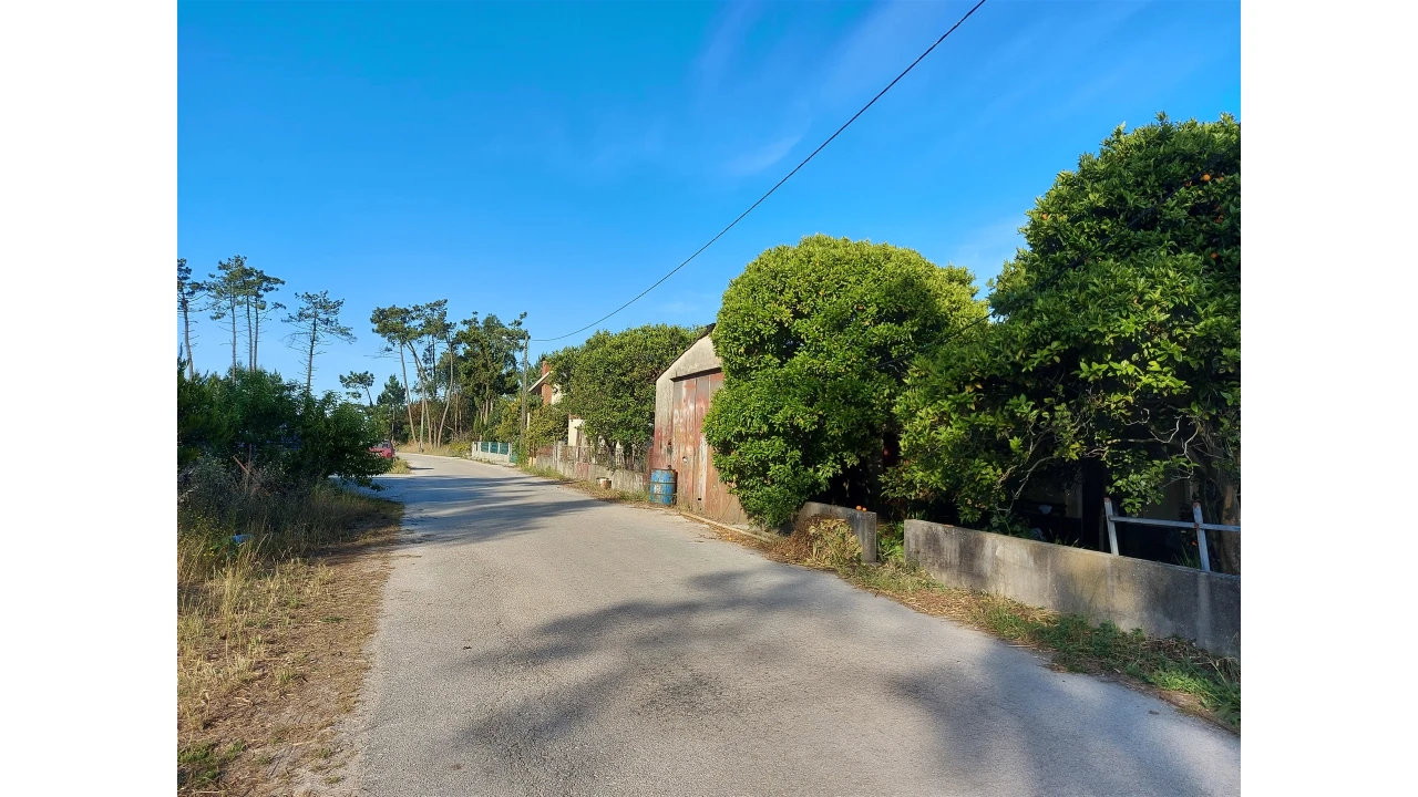 Armazém para Venda em Bom Sucesso Foto 3