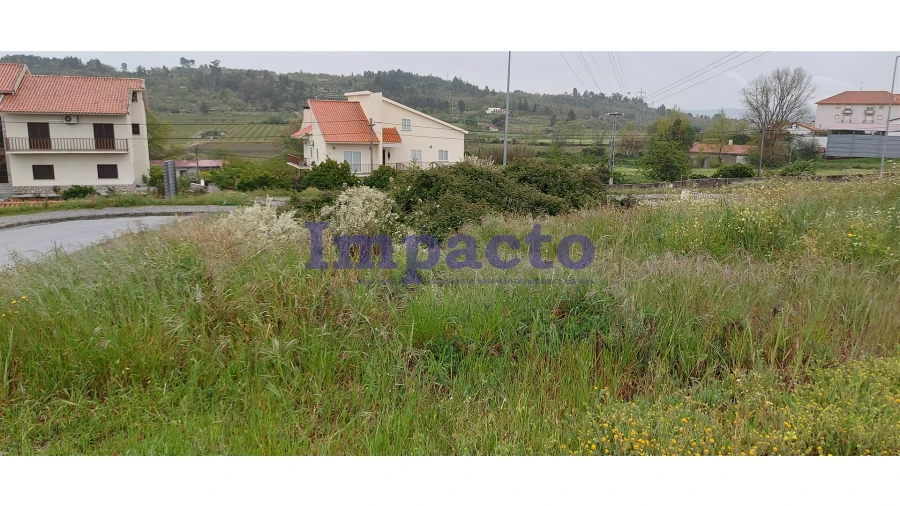 Terreno para Venda em Belmonte e Colmeal da Torre Foto 12