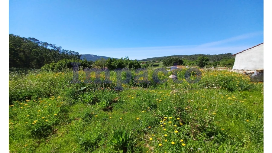 Moradia T1 para Venda em Ossela Foto 11