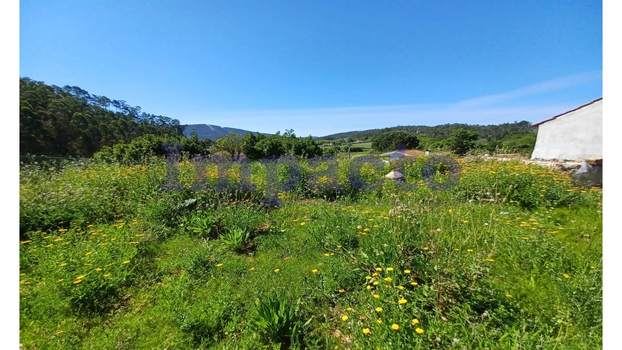 Moradia T1 para Venda em Ossela Foto 11