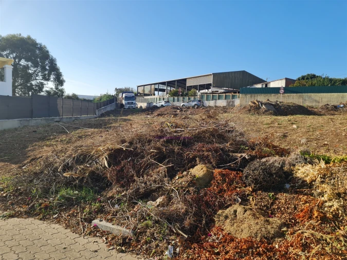 Terreno para Venda em Barcarena Foto 3