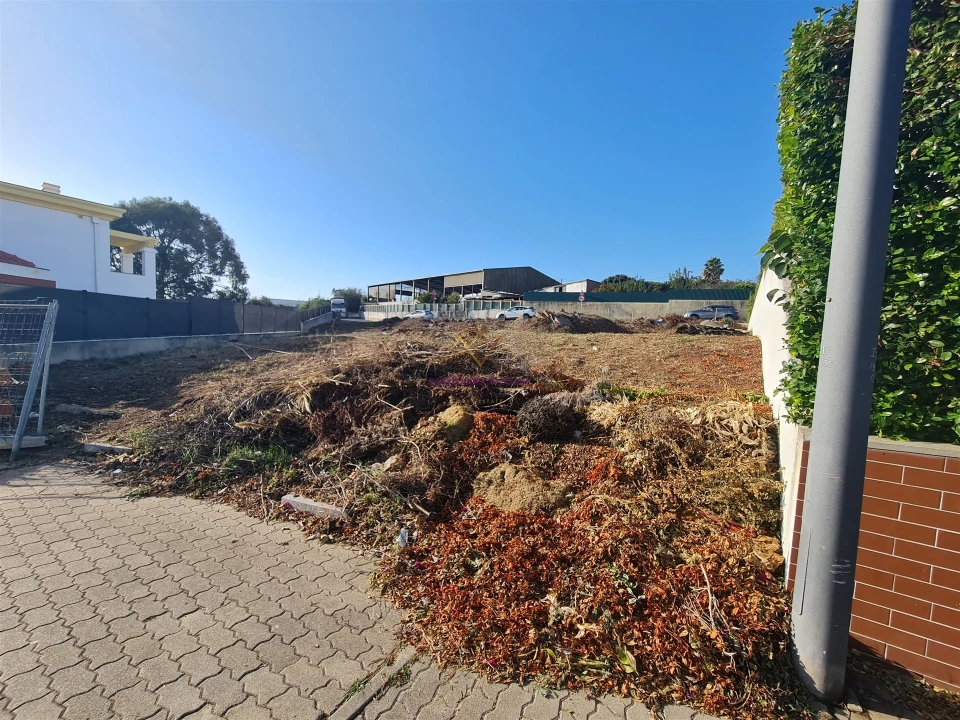 Terreno para Venda em Barcarena Foto 2