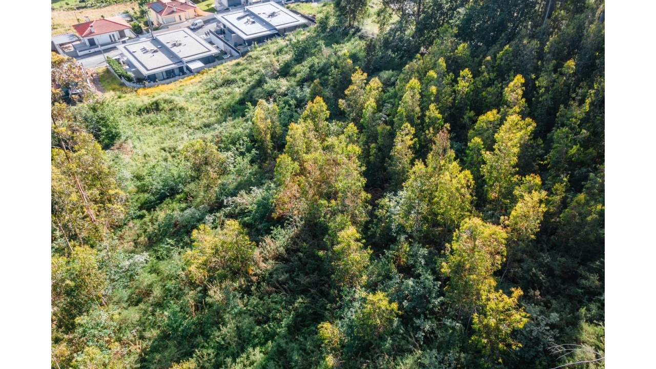 Terreno para Venda em Antime e Silvares (São Clemente) Foto 12