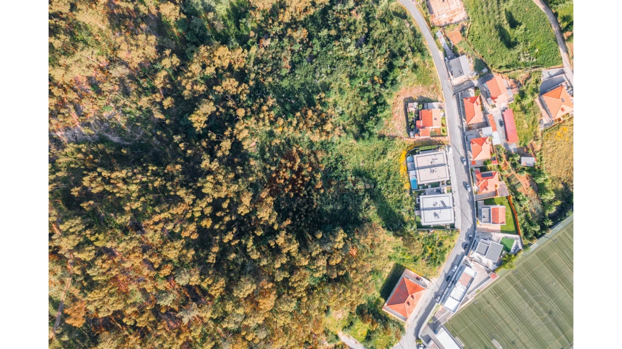 Terreno para Venda em Antime e Silvares (São Clemente) Foto 3
