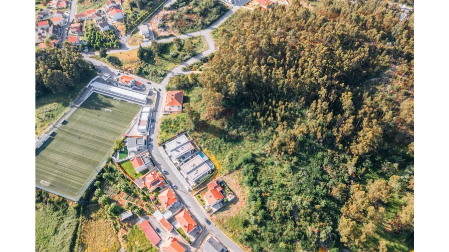 Terreno para Venda em Antime e Silvares (São Clemente) Foto 5