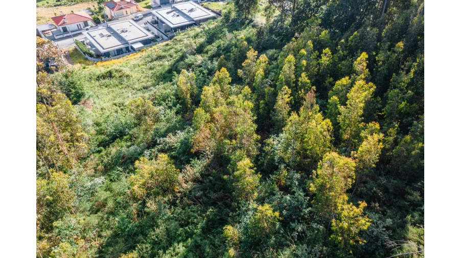Terreno para Venda em Antime e Silvares (São Clemente) Foto 12