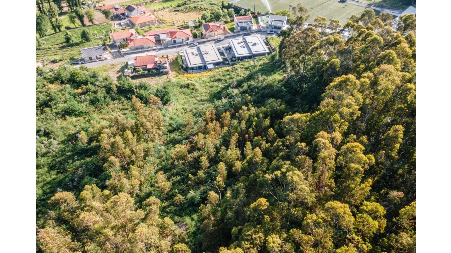 Terreno para Venda em Antime e Silvares (São Clemente) Foto 11