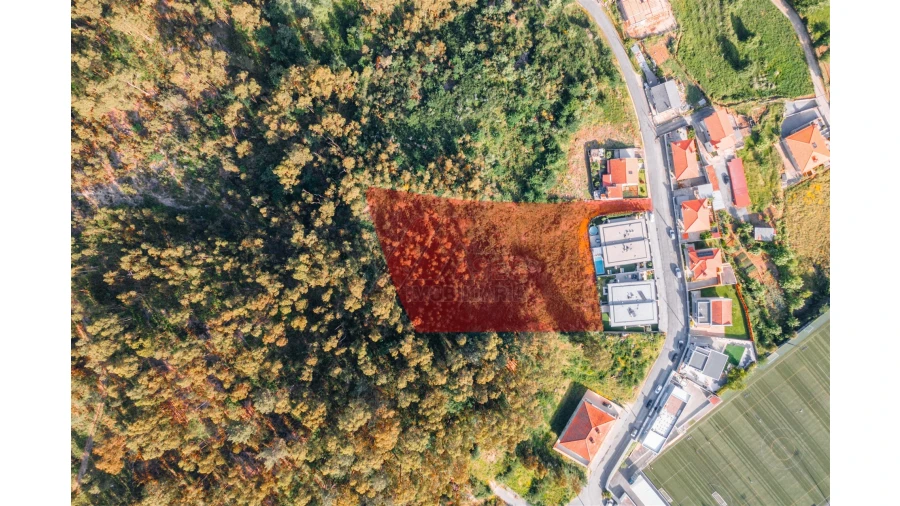 Terreno para Venda em Antime e Silvares (São Clemente) Foto 2