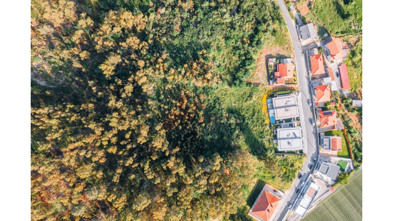 Terreno para Venda em Antime e Silvares (São Clemente) Foto 4
