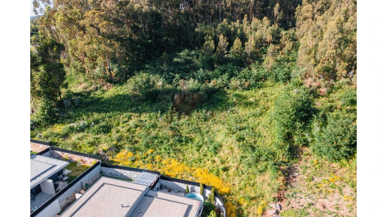 Terreno para Venda em Antime e Silvares (São Clemente) Foto 13