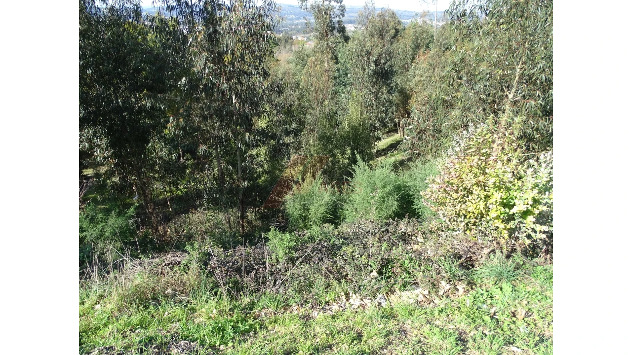 Terreno para Venda em São Gens Foto 21