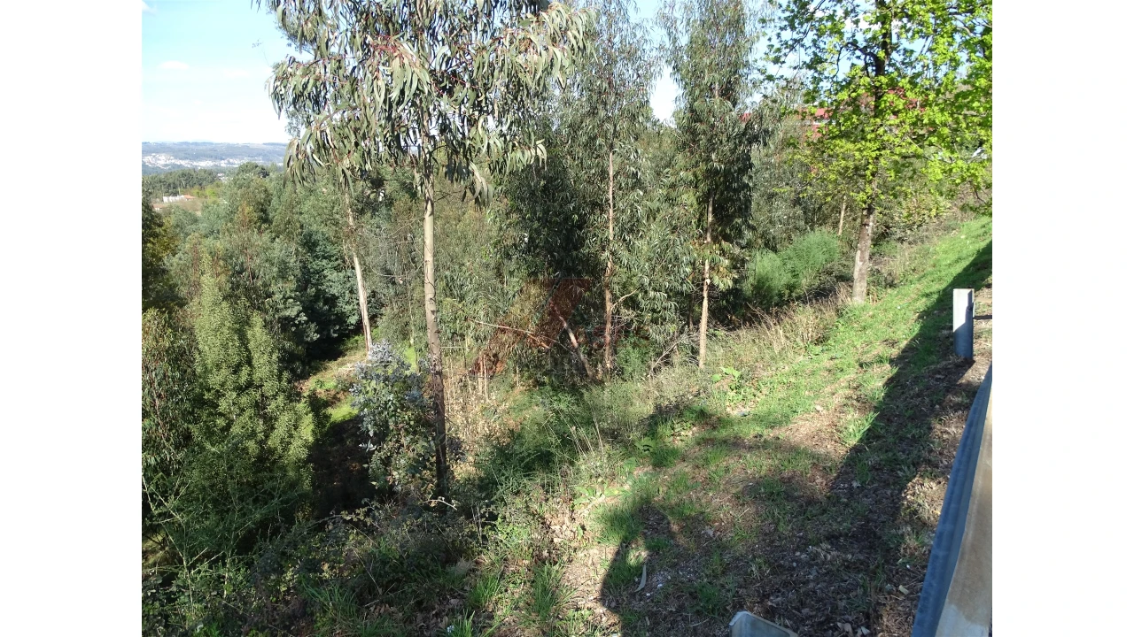 Terreno para Venda em São Gens Foto 18