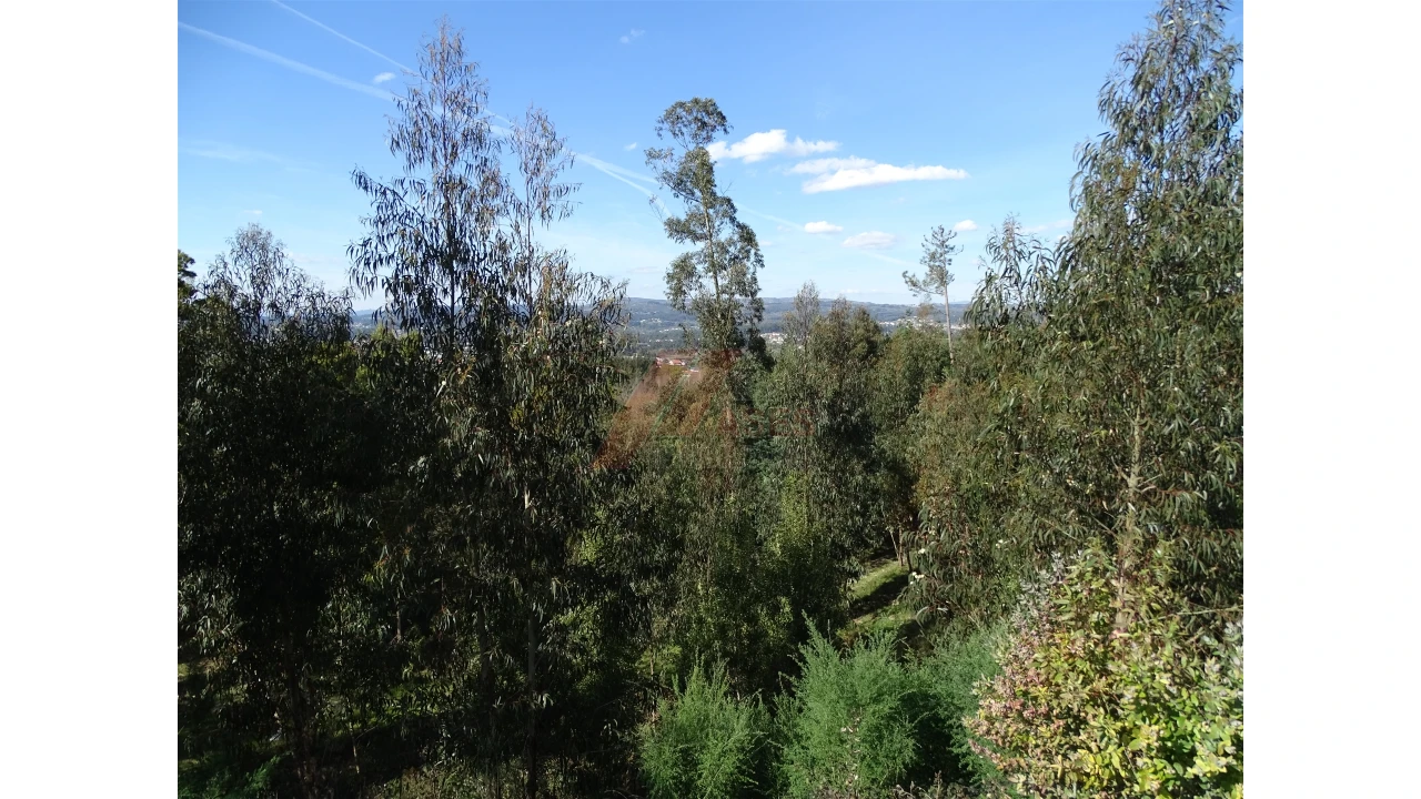 Terreno para Venda em São Gens Foto 20